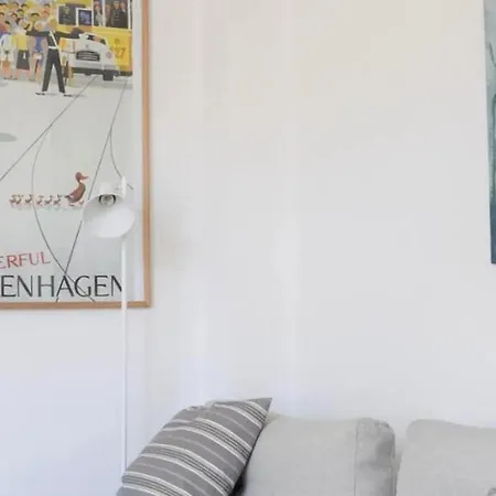 Rummelig Lejlighed Med Tre Sovevaerelser I Den Ikoniske Historiske Del Af Kobenhavn 코펜하겐